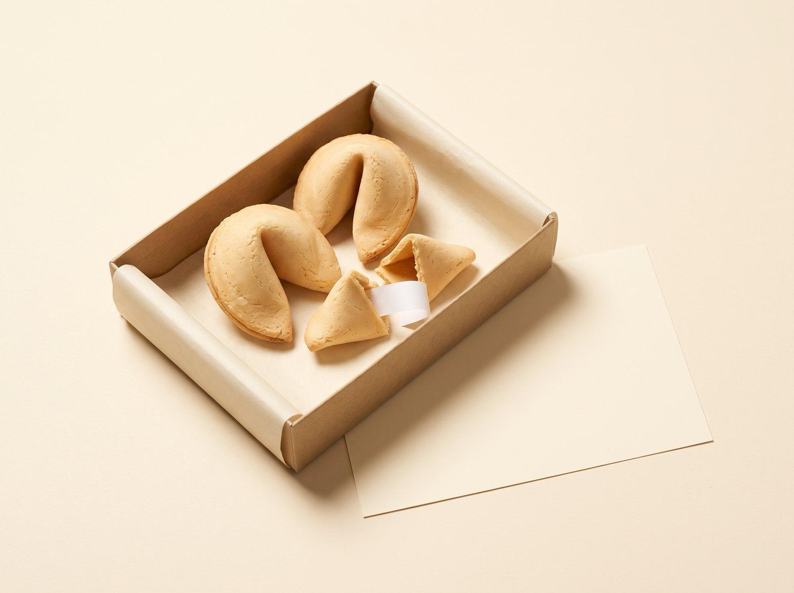 The Fortune Cookies: Their future contains one meeting with you.